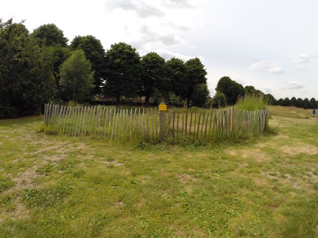 10271188_10204069488928723_6072098745758645125_o